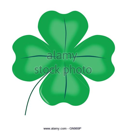 520x540 Clover Four Leaf Stock Photos Amp Clover Four Leaf Stock Images
