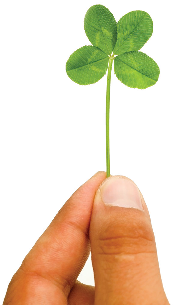 600x1015 Lucky Four Leaf Clover Sophie Magazine