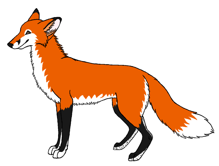 900x681 Top 84 Red Fox Clipart