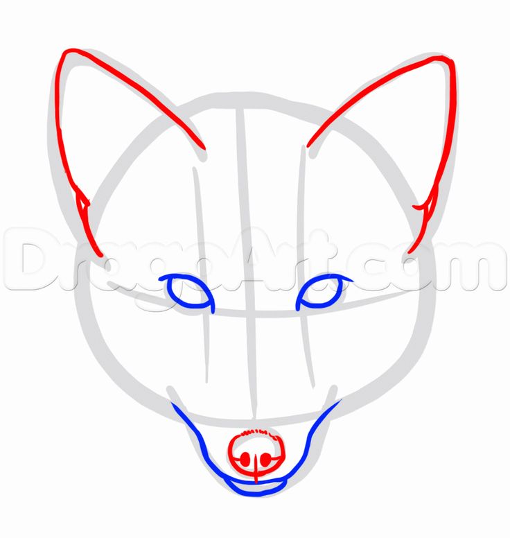 Fox Face Drawing