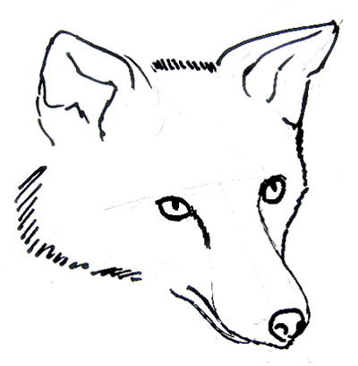 400x408 Fox Head Drawing 015