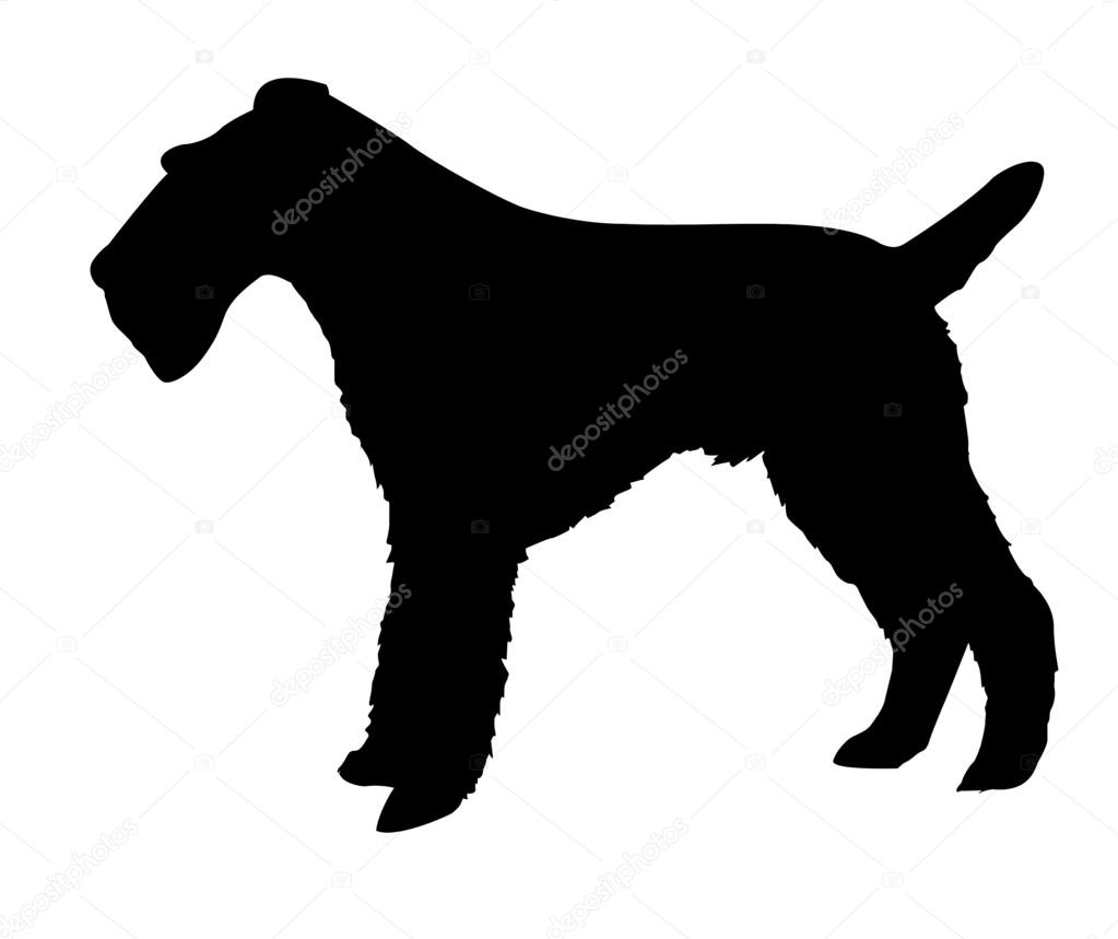 1023x859 Silhouette Of The Fox Terrier Stock Photo Basel101658