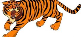 272x125 Tiger Clipart Animations Clipart Panda
