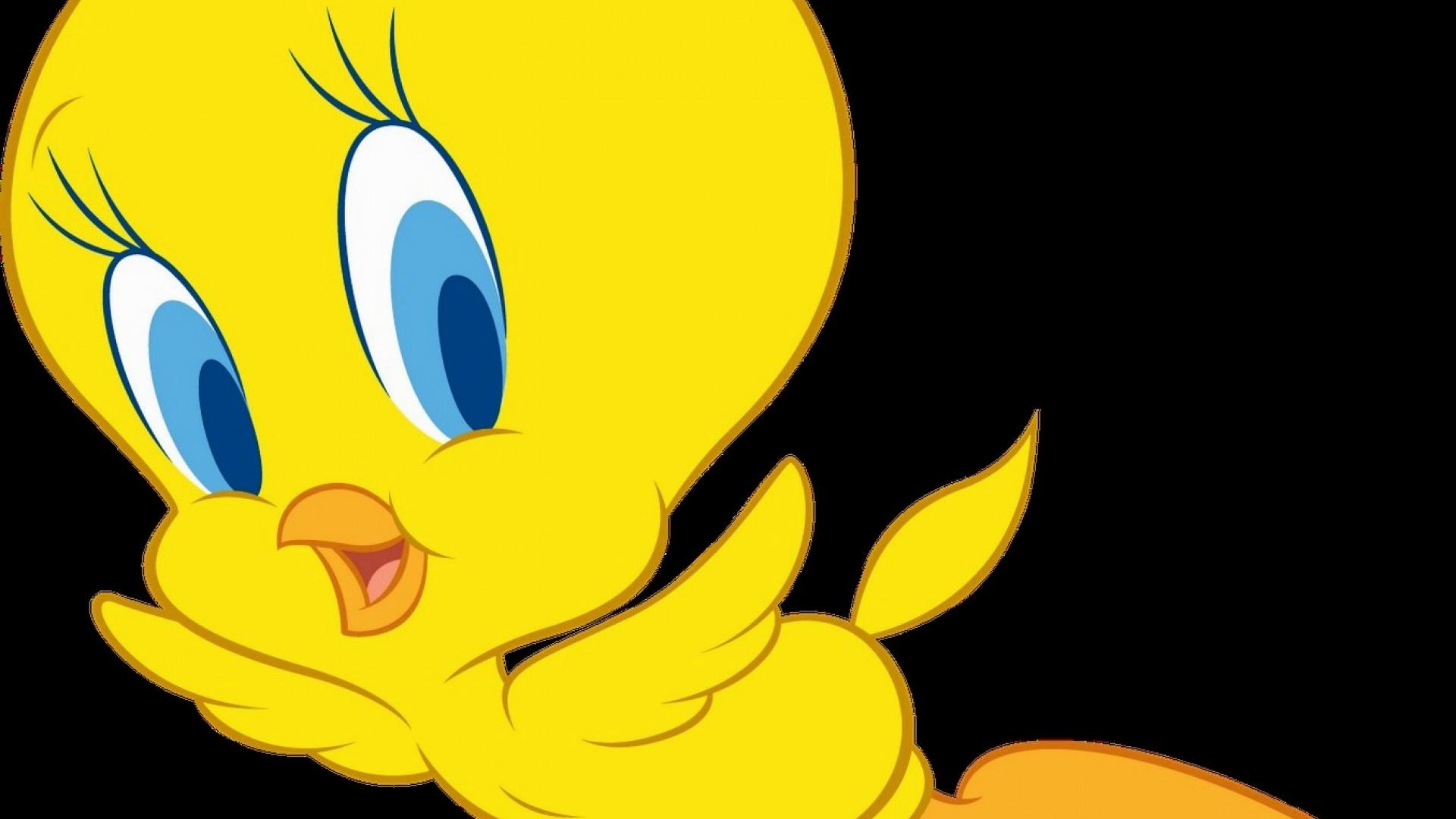 1920x1080 Tweety Hd Images Get Free Top Quality Tweety Hd Images For Your