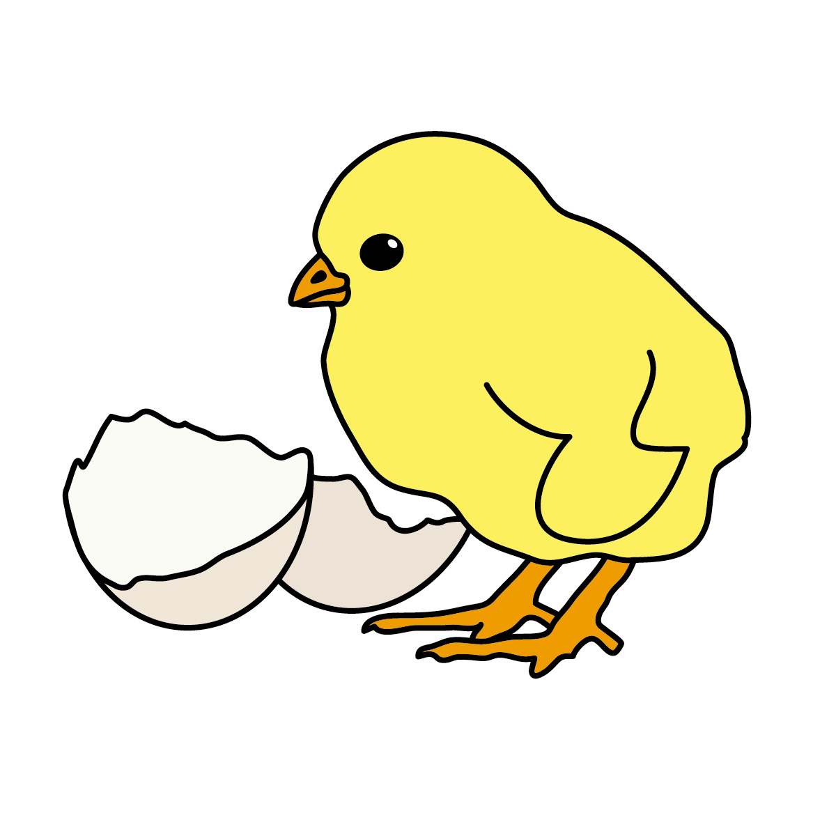 1200x1200 Baby Animal Clipart Baby Chicken