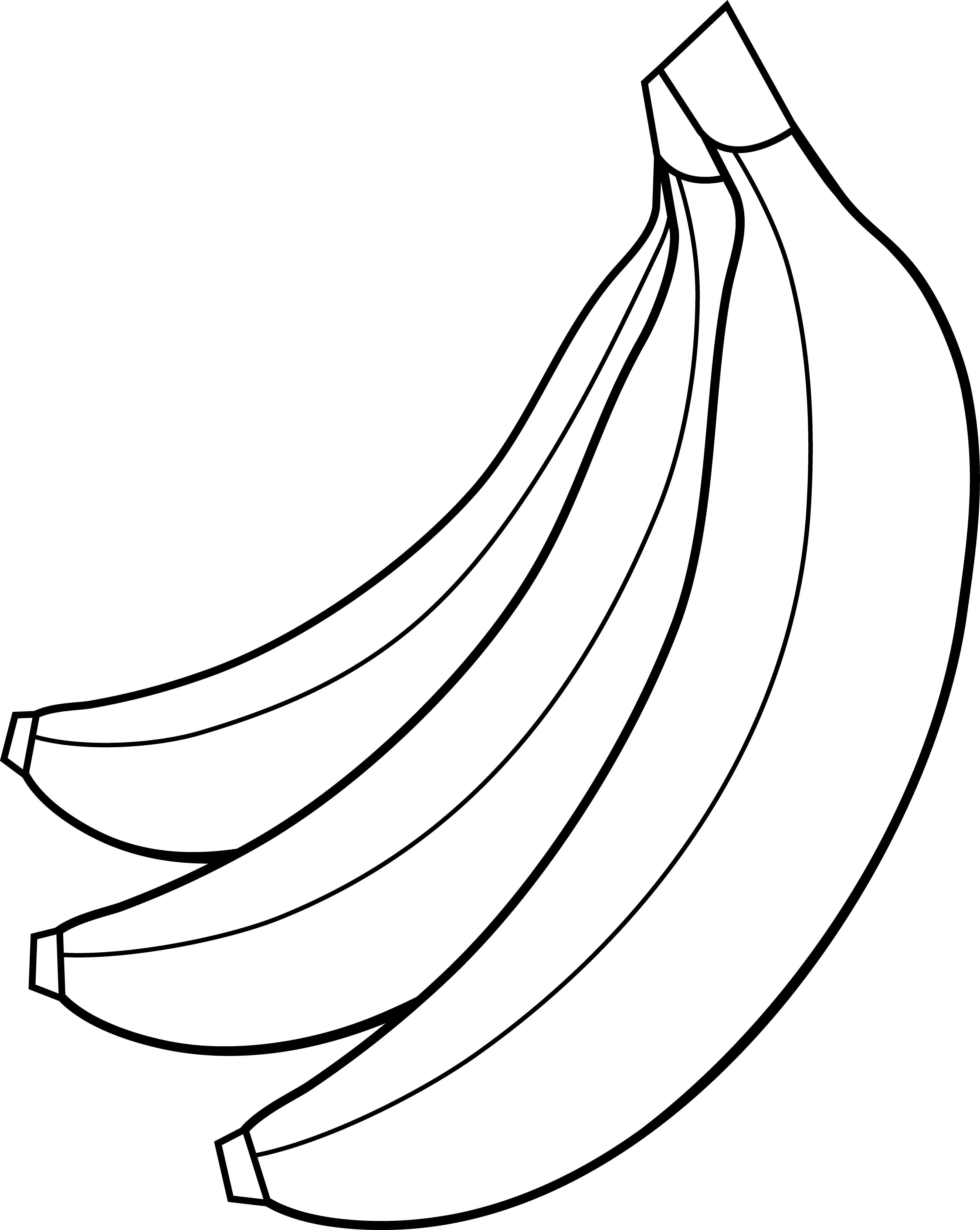 3631x4559 Colorable Bunch Of Bananas