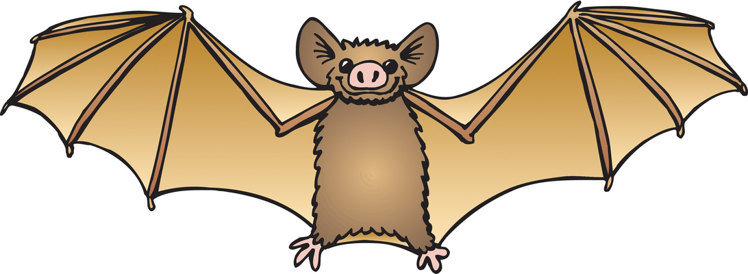 1092x400 Bat Clip Art No Background Free Clipart Images