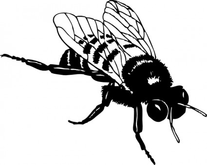 425x340 Best Bee Clipart Black And White