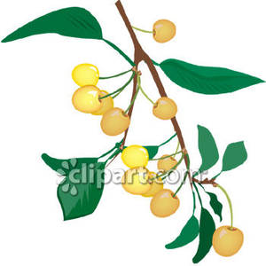 300x300 Bing Cats Clipart