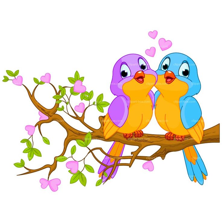 736x736 Clip Art Of Birds