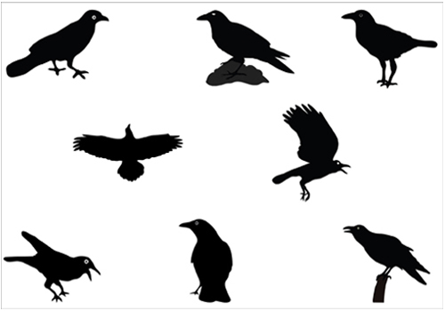 500x350 Birds Vector Graphics Archives Silhouette Clip Artsilhouette