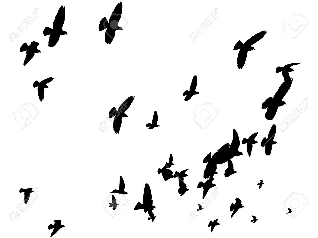1300x975 Dove Clipart Free Bird