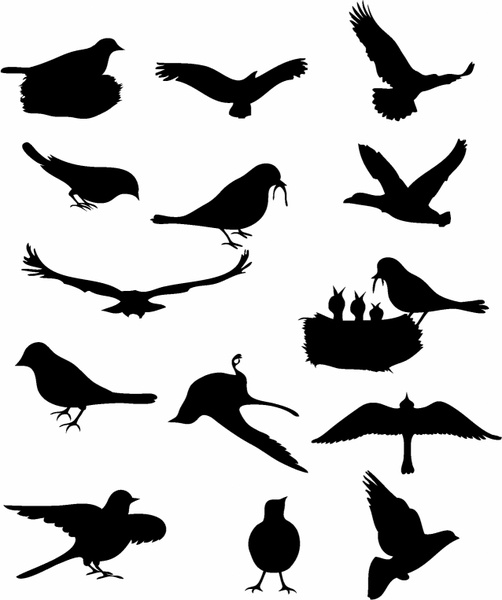 502x600 Flock Of Birds Clipart Couple Bird