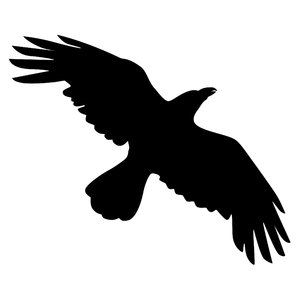 300x300 Flying Bird Silhouette Clipart