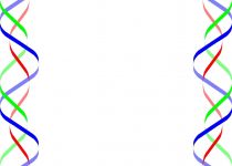 210x150 Clip Art Birthday Clip Art Borders