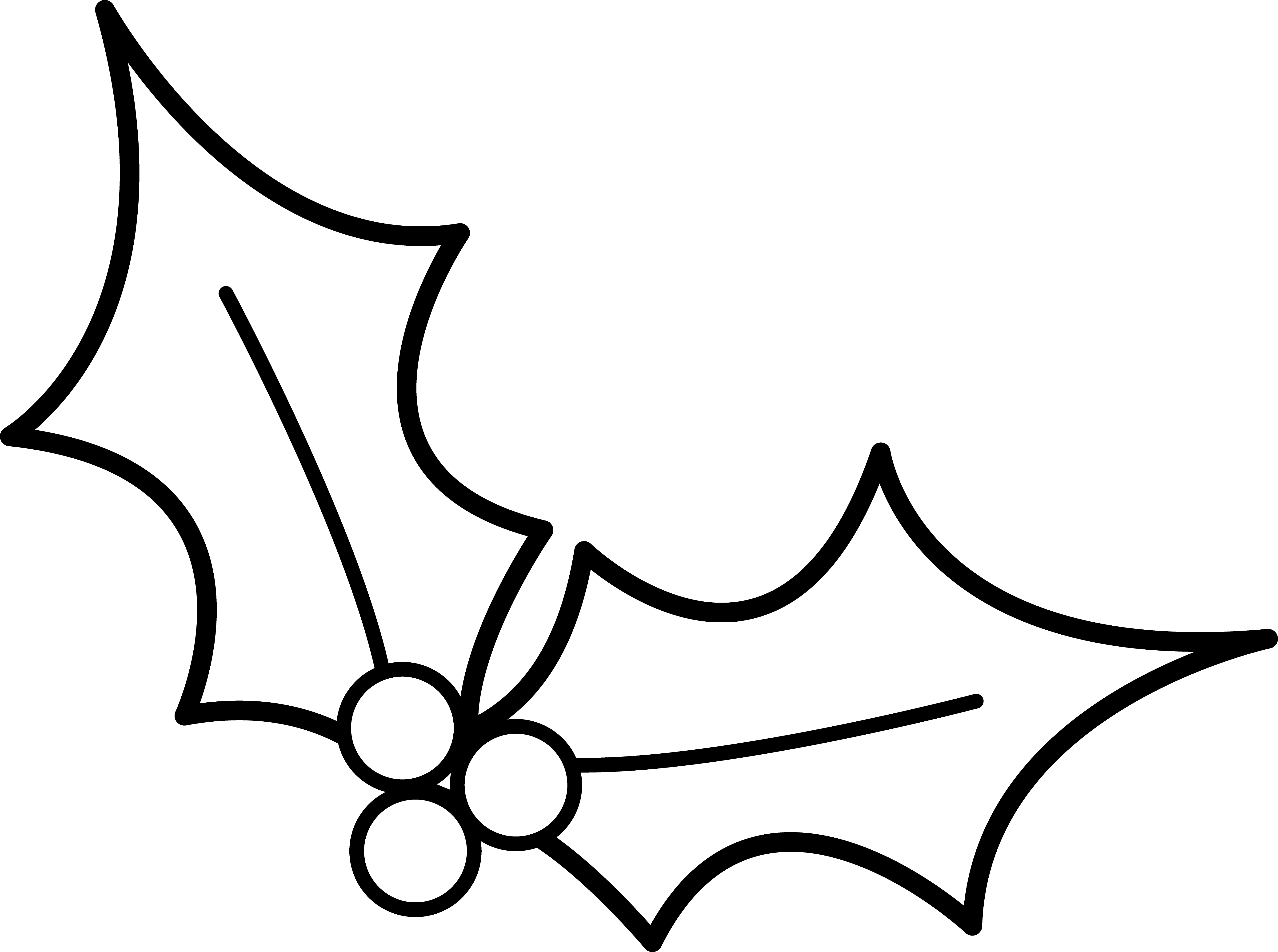 5432x4046 Holly Leaves Free Clipart