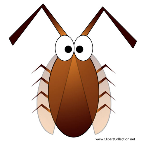 500x495 Insect Clipart Free Clipartmonk