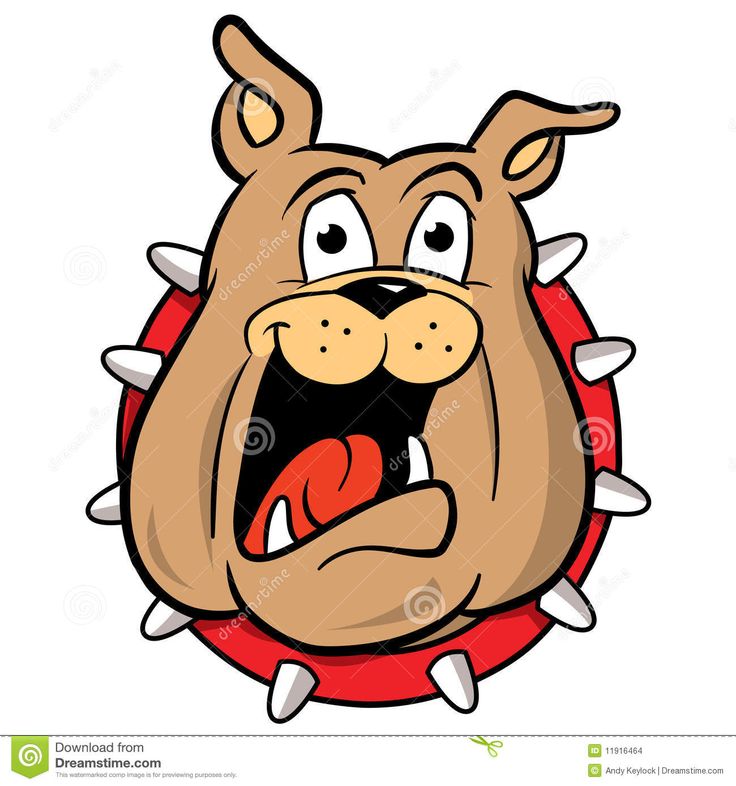 736x786 78 Best Bulldog Images Draw, Mandalas And Pets