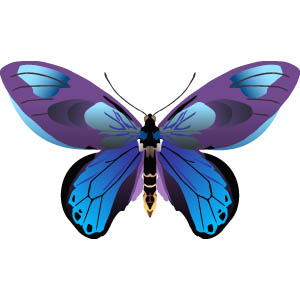 300x300 Butterfly Clipart Free