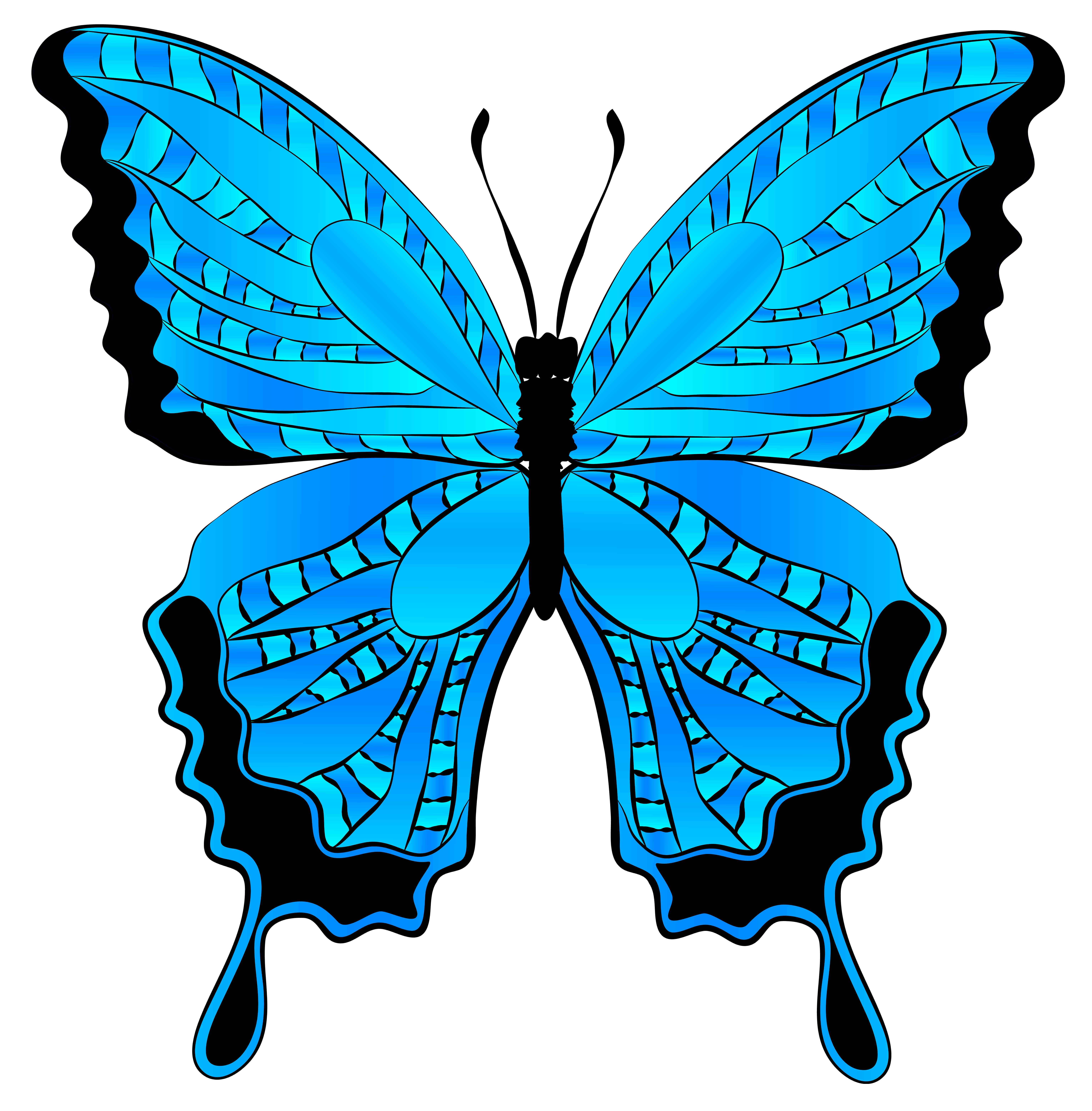 6117x6224 Clip Art Free Butterflies