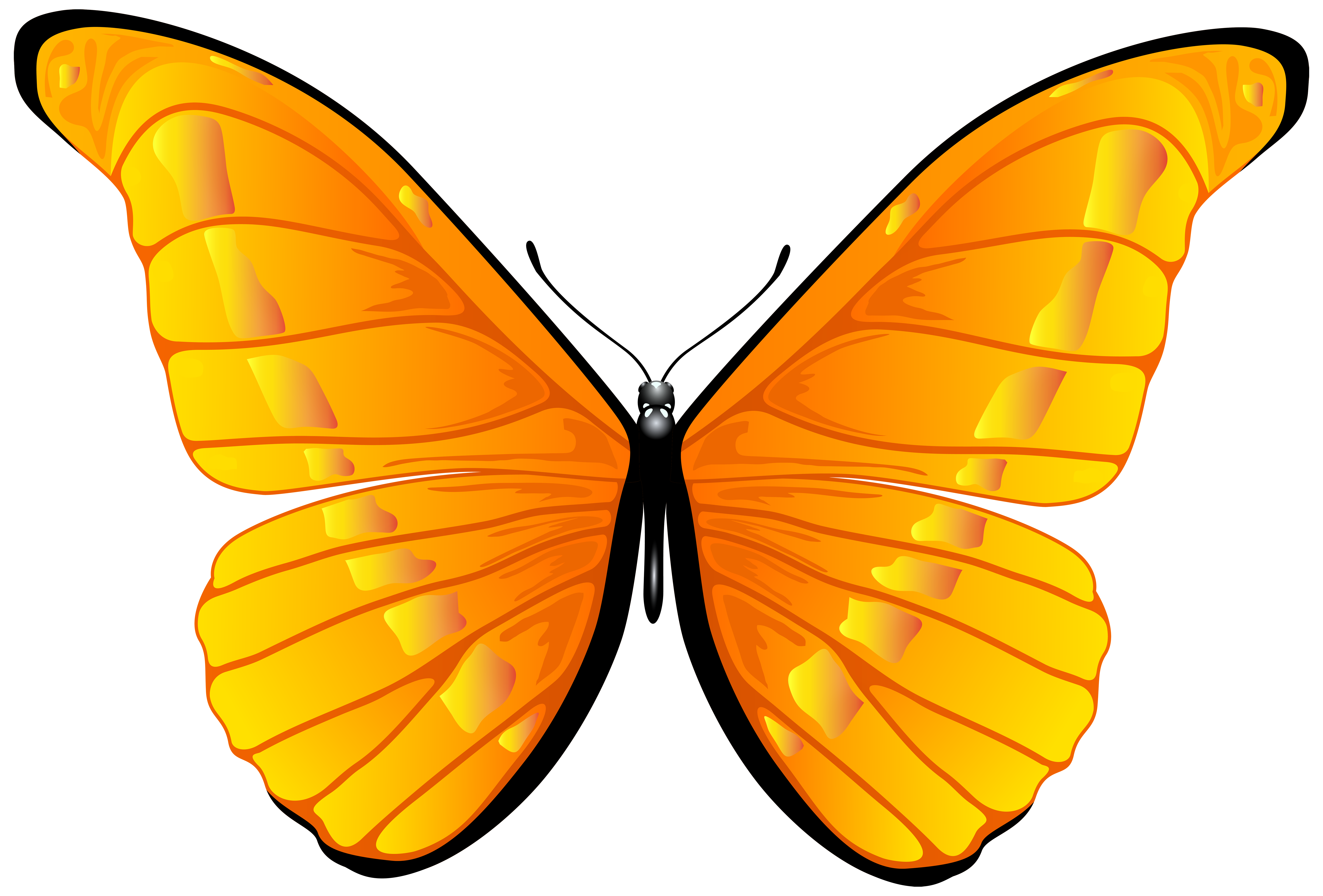 7000x4739 Bug Clipart Orange Butterfly