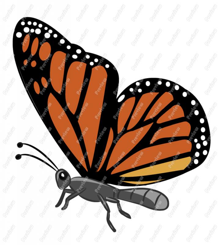 729x800 Monarch Butterfly Character Clip Art