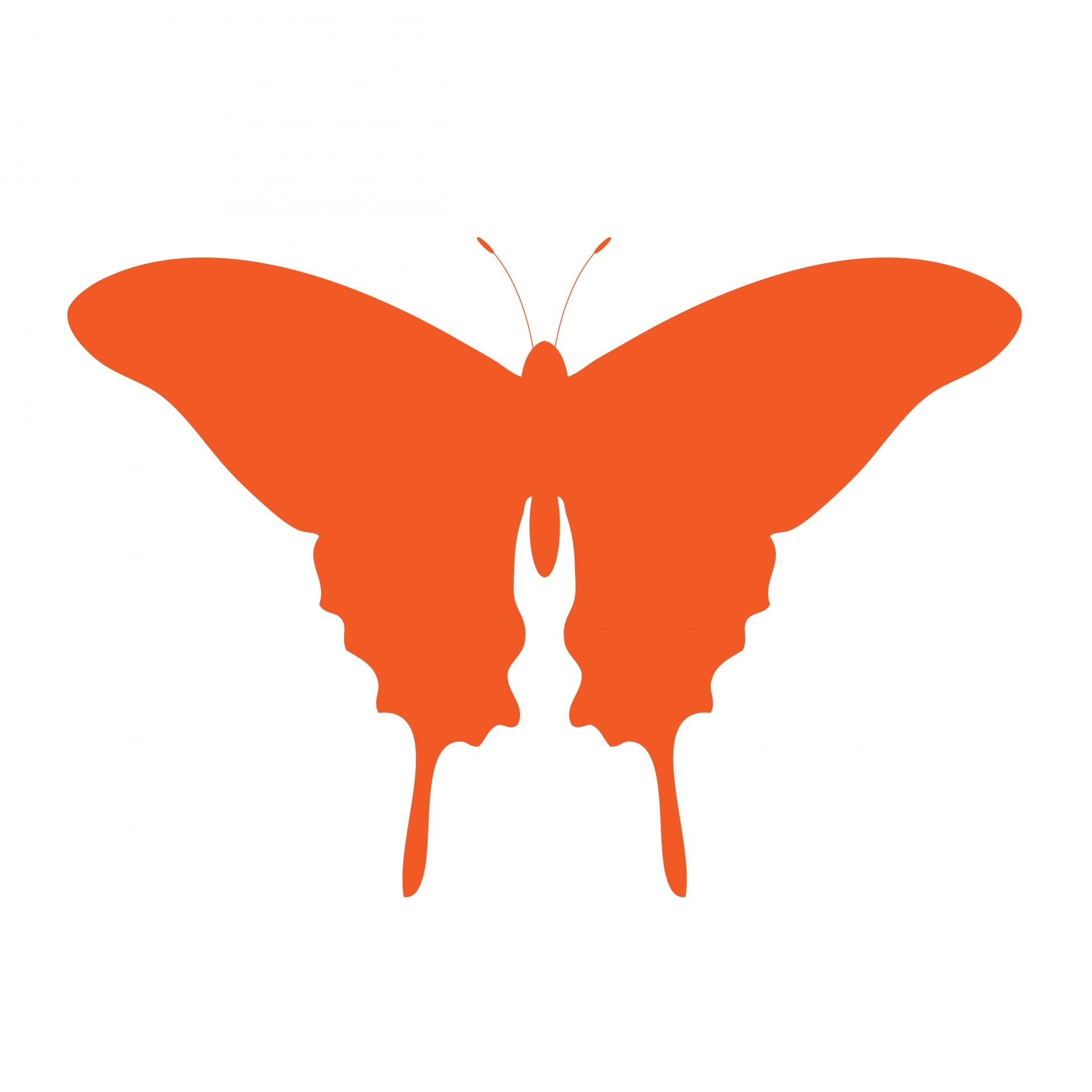 1920x1920 Orange Butterfly Clipart Free Stock Photo