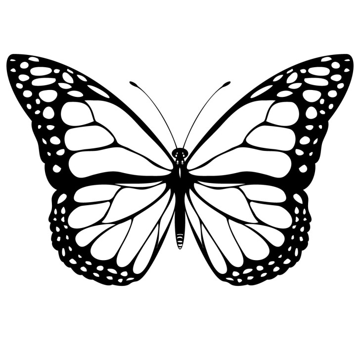 728x728 Top 83 Butterfly Clip Art
