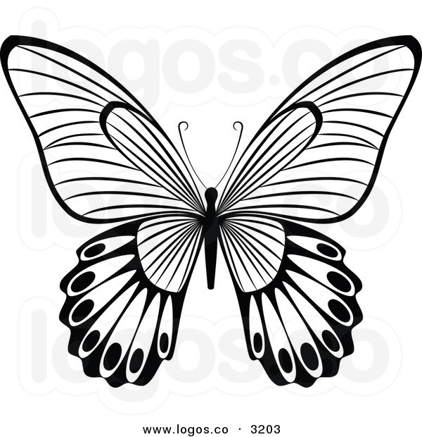600x620 Graphics For Black Butterfly Graphics