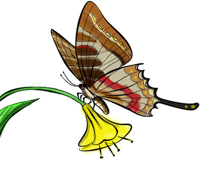 400x337 Free Butterfly Clip Art 19 Clipart Panda