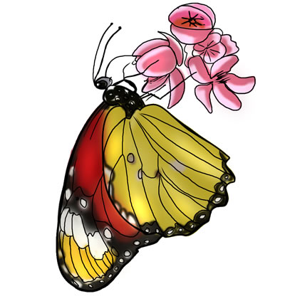 400x430 Top 83 Butterfly Clip Art