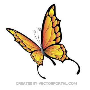 316x316 Butterfly Vectors Download Free Vector Art Amp Graphics