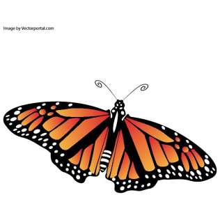 316x316 Spring Clip Art Vectors Download Free Vector Art Amp Graphics