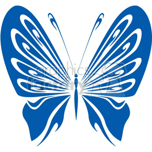 300x300 Royalty Free Butterfly In Blue And White 368341 Vector Clip Art