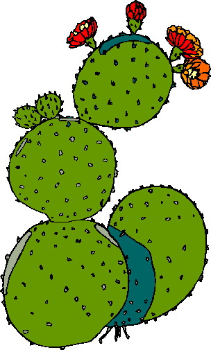 304x505 Cactus Clipart Free Clipart Images Image 3