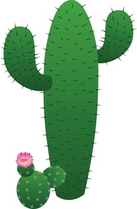 196x300 Cactus Clipart Image