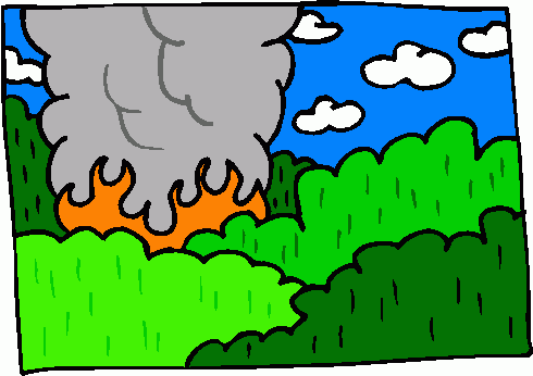 490x346 Campfire Clipart, Suggestions For Campfire Clipart, Download