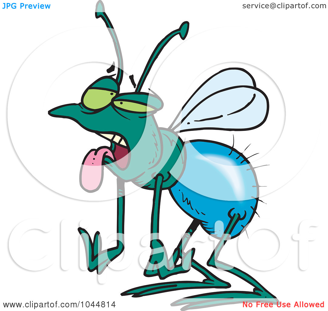 1080x1024 Clip Art Cartoon Fly Clipart