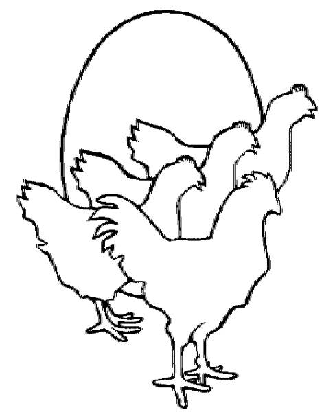 472x600 Chicken Line Art