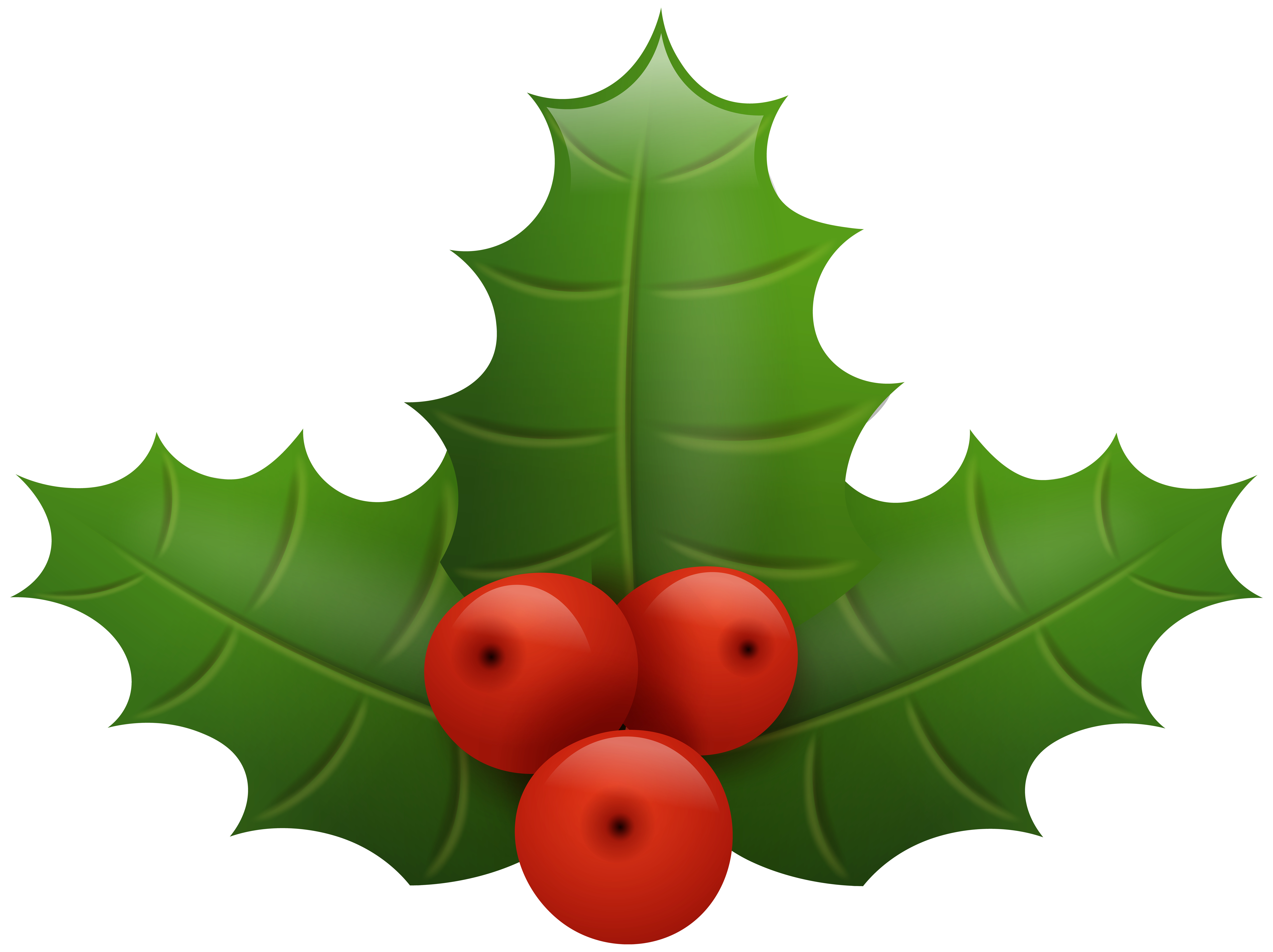 Free Christmas Clipart Holly | Free download on ClipArtMag