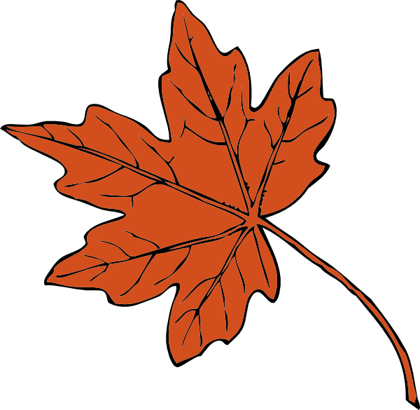 600x585 Maple Leaf Clip Art