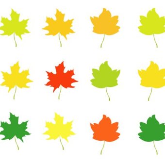340x340 Autumn Background Vectors Download Free Vector Art