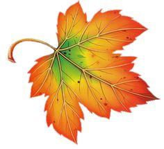 236x215 Autumn Leaves Pictures Clip Art
