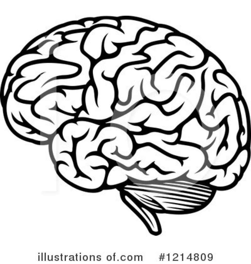 975x1024 Brain Clipart Drawing Brain Clipart Drawing Brain Clip Art