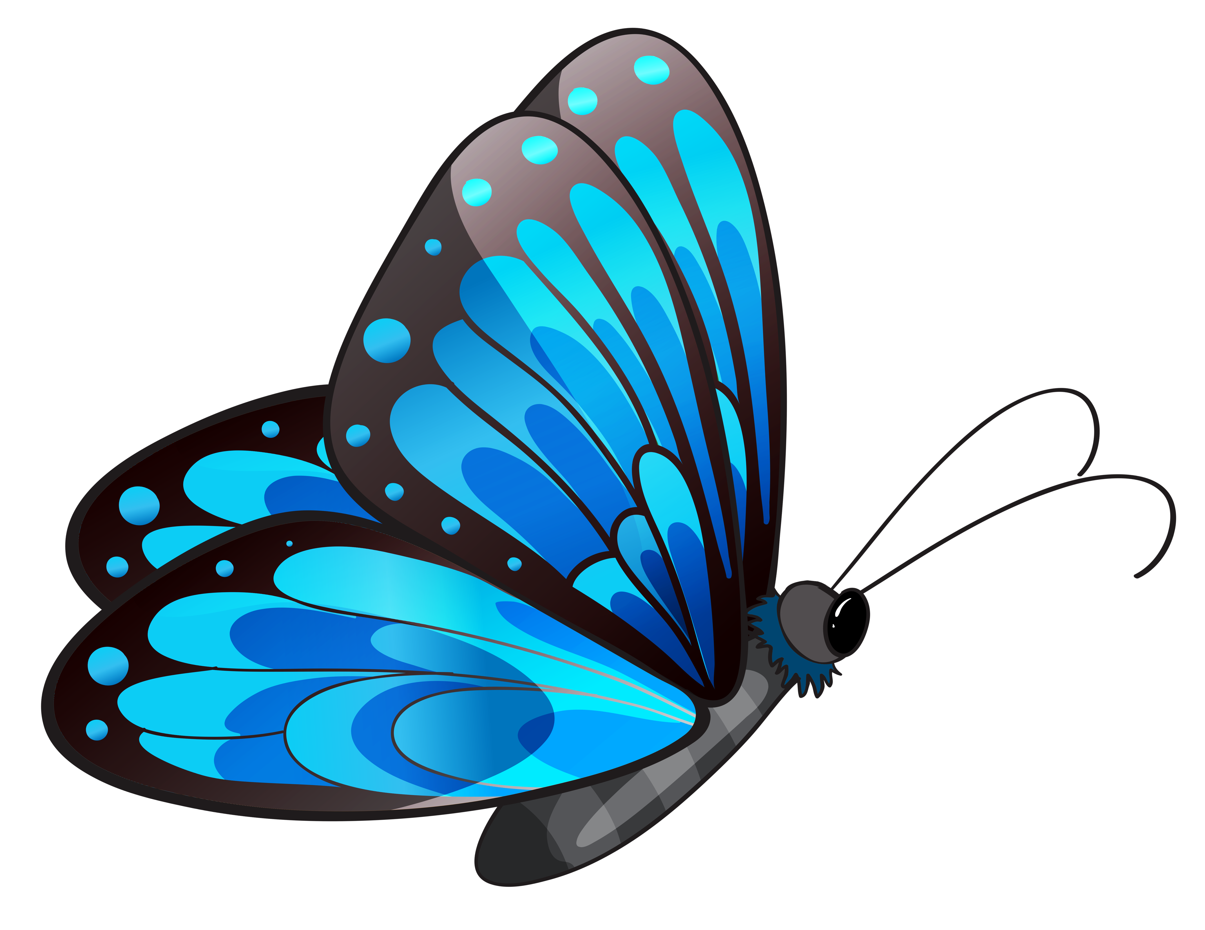 4155x3205 Clip Art Butterfly Clipartiki 2