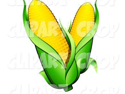 440x330 Cartoon Of A Corn Ear On A Plant Royalty Free Vector Clipart By