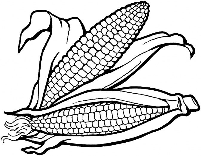 673x525 Corn Clipart To Download Dbclipart