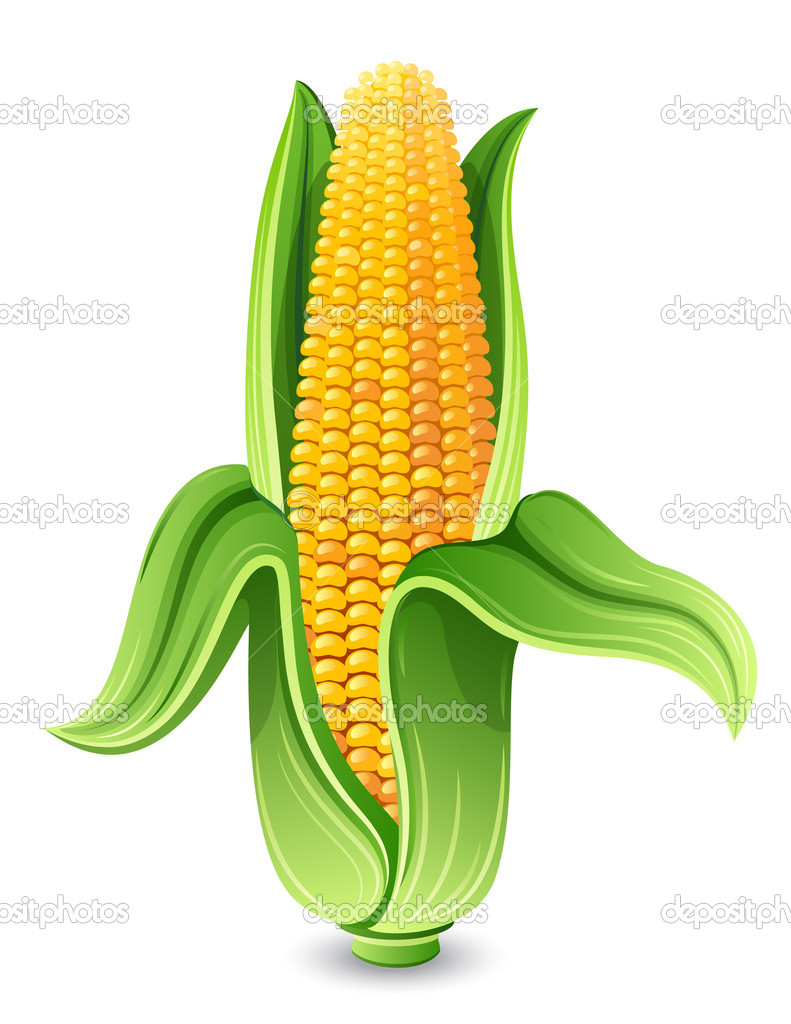 791x1024 Free Corn Clipart