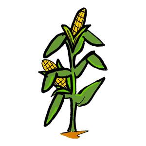 300x300 Free Corn Maze Clipart