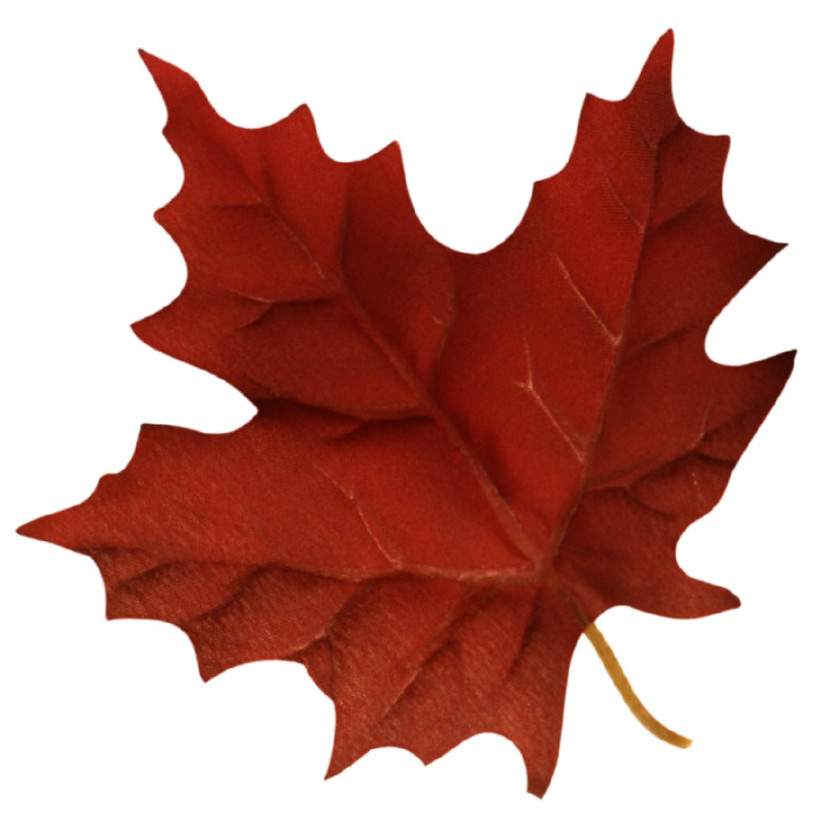 830x821 Maple Leaf Clip Art
